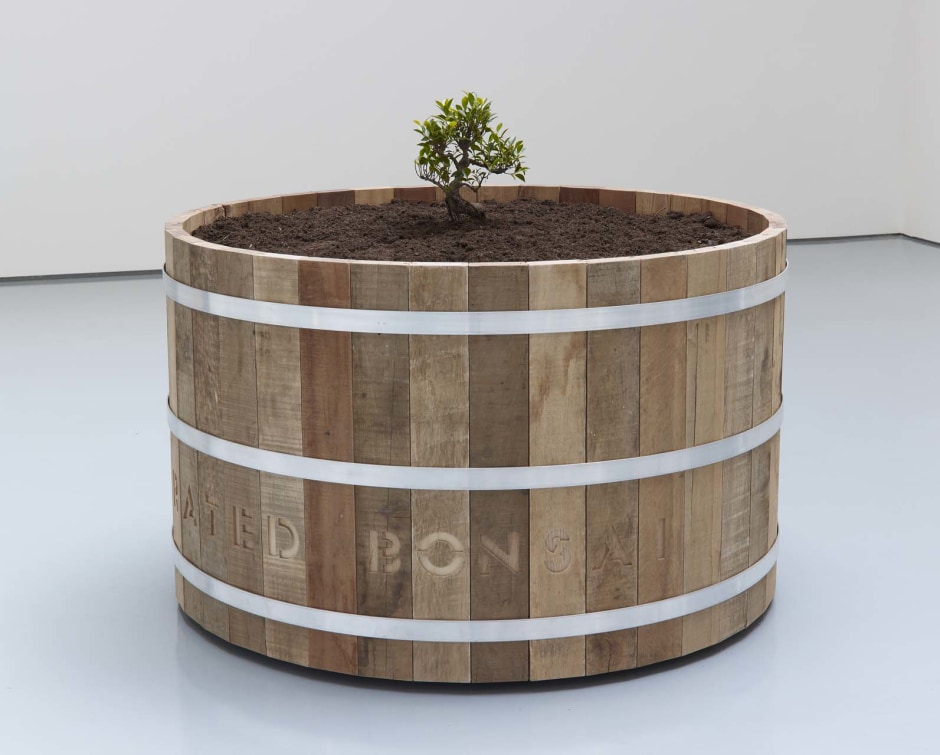 Liberated Bonsai in Reclaimed Wood Barrel, 2012